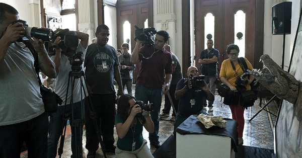 Sahitisuchus fluminensis�Ļ�ʯ�����ŷ�����