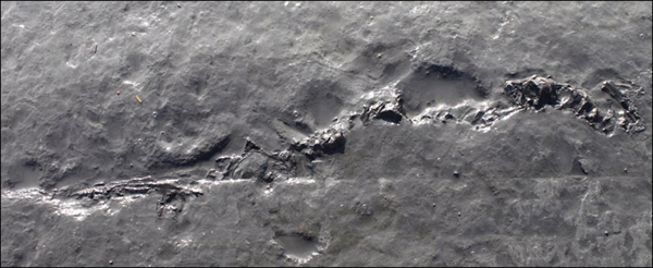 Ӣ��٪�޼ͺ�������������ʯ��������Ѱ����