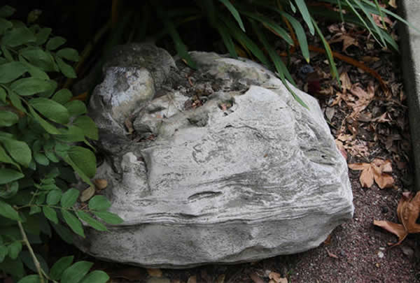 ������ɼ��һ��ѧУ�ڷ���1200����ǰĨ�㾨��ʯ