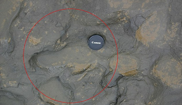 Ӣ������������80����ǰ�����㼣��ʯ