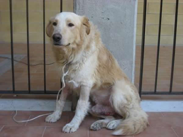 һ����CTVT�Ĺ�