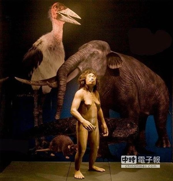 霍比特人是独特人类物种而不是畸形现代人