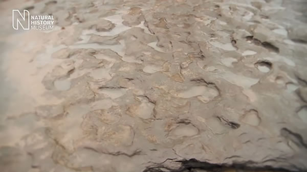 3Dɨ��ɹ�����80��������ʷ�������ӡ