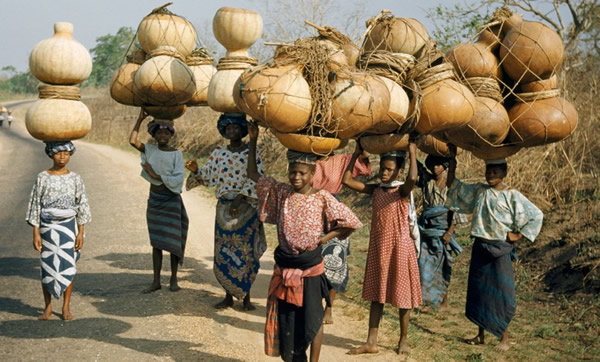 �о����ֺ�«�ܿ���ͨ�������ӷ��޵����´�½