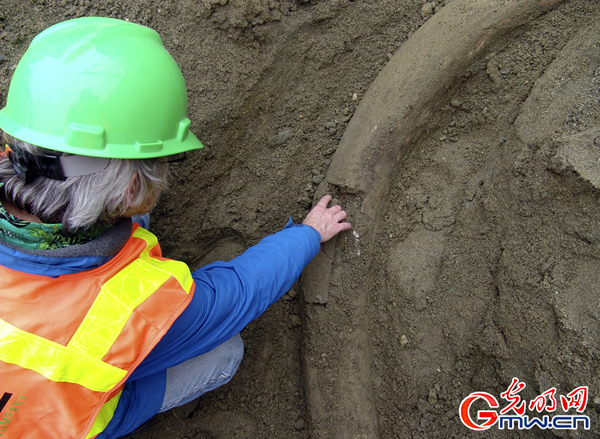 ��������ͼ�������ط���������������