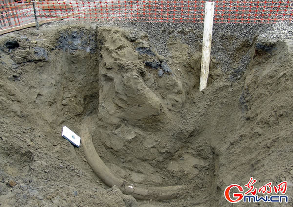 ��������ͼ�������ط���������������