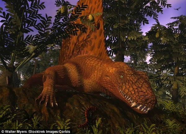 ���о�����½���ϵ�һ����ʳ����������ܳ���ţ�ŵ�һ��������