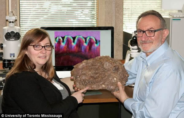 �޲��ء���˹�ȺͿ���˹͡�����ֿ�����һ�������ͷ�ǡ�