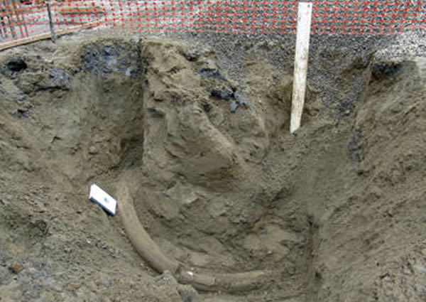 ��������ͼ�����������ڵ�����ʱ�ڳ�ë��ĳ���