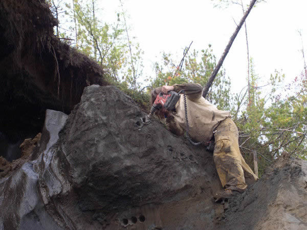 �����ö�������ֲ������