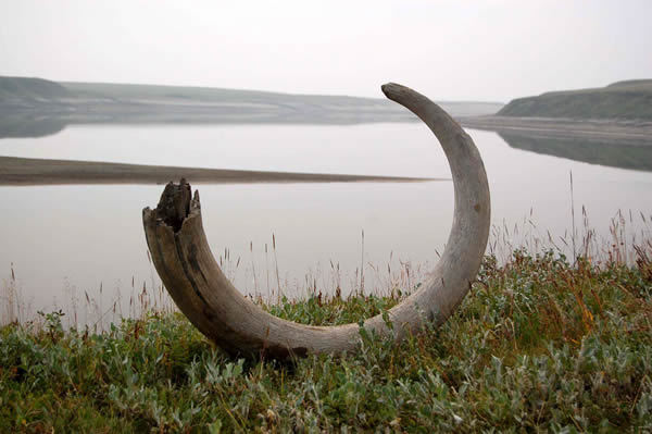 ������ĳ�����