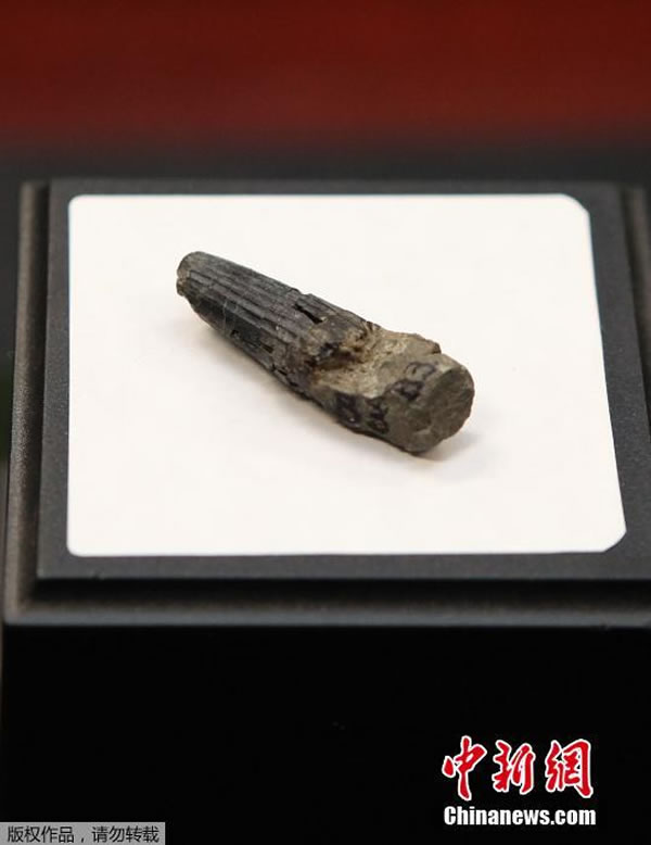 ������ѧ�����������������ݷ��ָù���һ�������ʯ