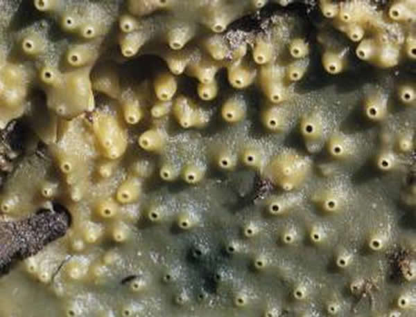 ͼ�������м���࣬�����о���ʾ�����ƺ���ĵ������ڶ�����ܴ�������������С�