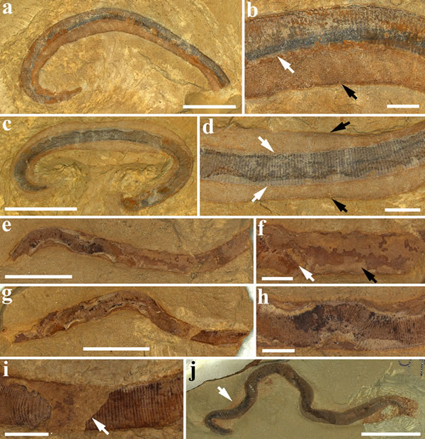 �;ӹ�һ�𱣴�����������