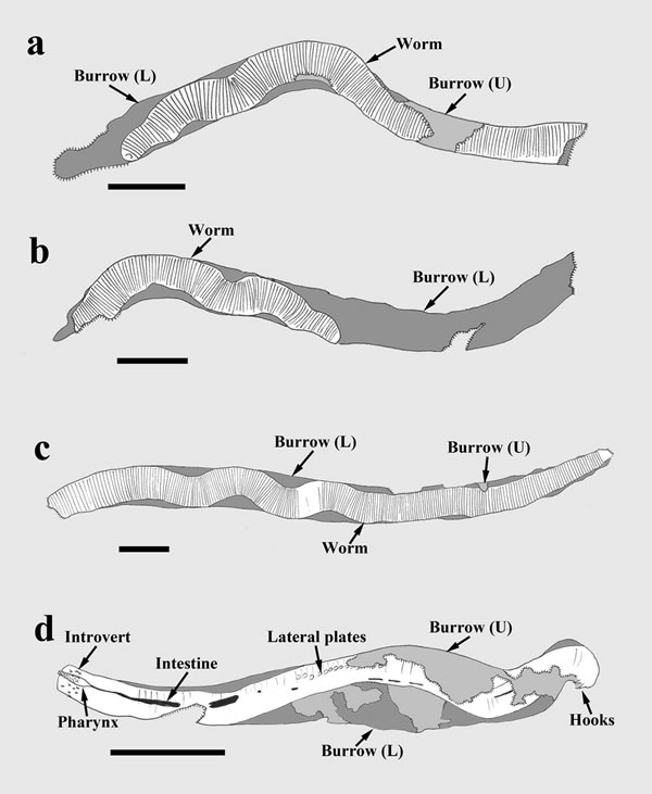 �����������ͻ������ӹܺͳ����ϵ�Ľ���