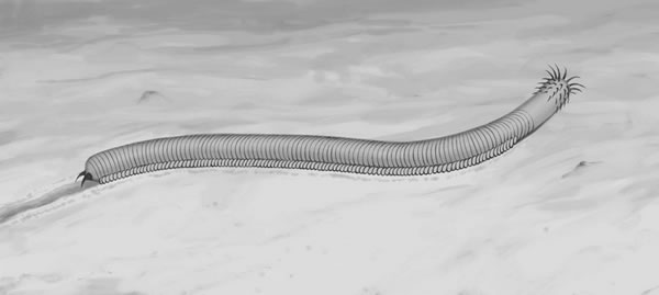 ��������ں������еĸ�ԭͼ