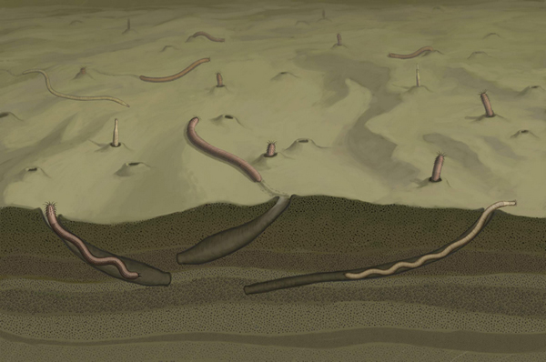 ���ֲ�ͬ�����ĺ�����̬��ԭͼ