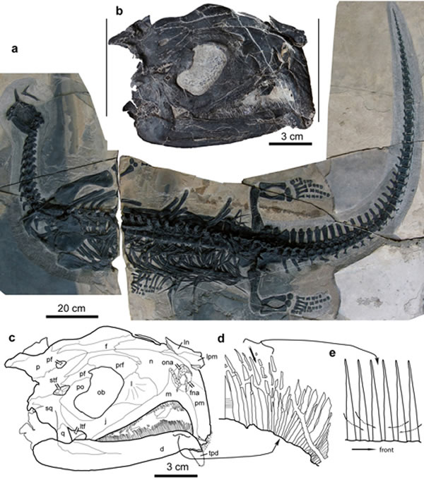 ������ƽ������ͳ�״η��ֵ�����ʳ�������������֡�������դ����