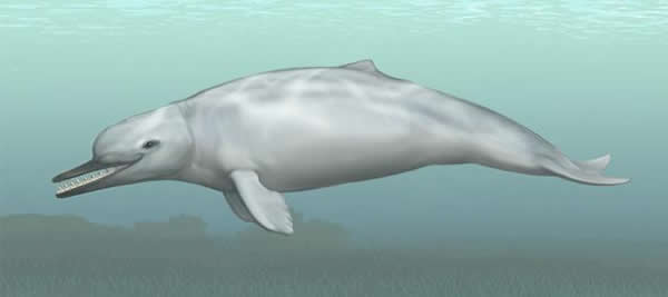 2800ǰһֹϾܹеͲʳ