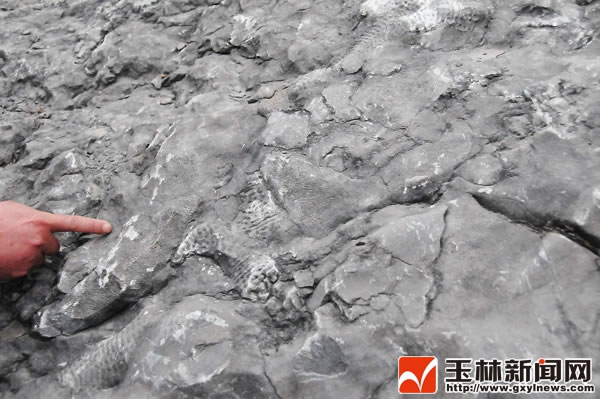 ��Ƕ����Щ��ʯ��Ļ�ʯ������̽Ѱ������������������