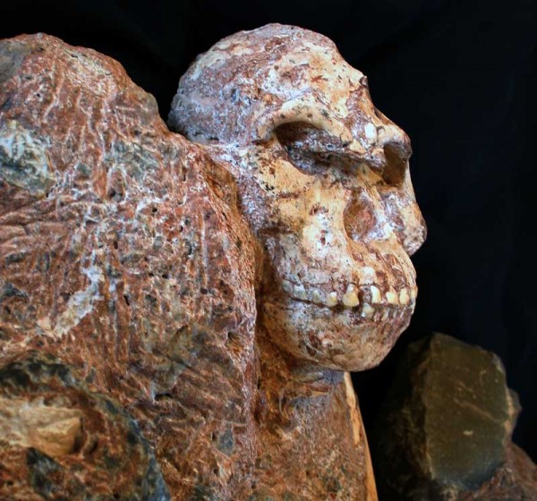 �Ϸǹ����ࡰС�š����300���� ��Ϊ����ֱϵ����