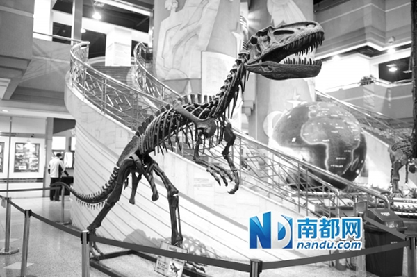 ��ݸ����չ�������Ͽ�����