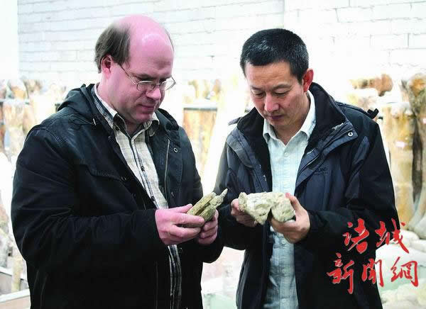 �����Ŷ���ϸ���о�������ʯ������