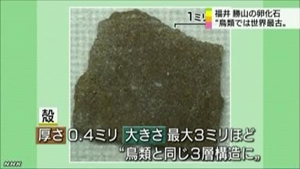 �ձ�����������ѧ����ѧ�о�����1990�����ձ�������ʤɽ�з��ֵ����൰�ǻ�ʯ