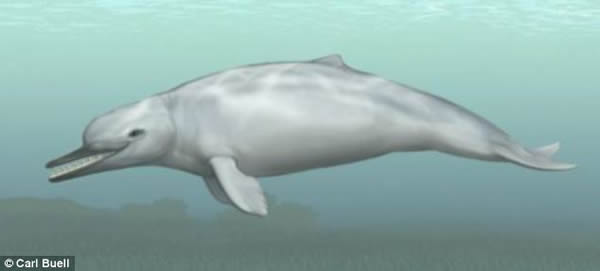 �������Ƕ�2800������ʷ��Cotylocara macei���ؽ�