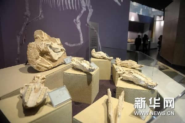 ���������ﻯʯ�����