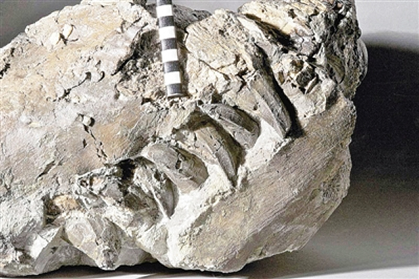 �����������・�������Ჩ��ݵĲ�����ʯ