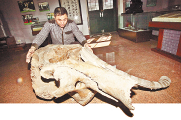 �������ɹ�׷�ɱ�������׼�����۵�������ͷ�ǻ�ʯ