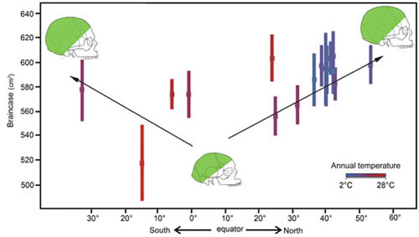 ͷ�ǲ��������γ�ȷֲ��ص㼰���¶ȵĹ�ϵ�����׹�ͼ��