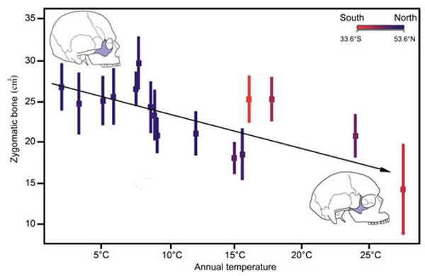 ȧ�Ǳ������γ�ȷֲ��ص㼰���¶ȵĹ�ϵ�����׹�ͼ��