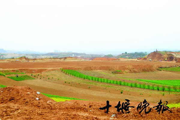 ���������������ְ�����ǰ���ﻯʯȺ