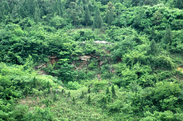 ��̶��������Գ�ˡ���ַ