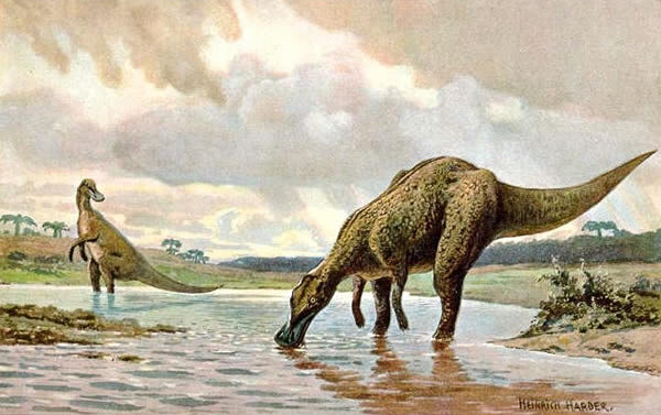 ���ô󱱼��������ֵ�Ѽ�������ԭͼ