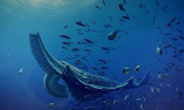 ����������󱬷����³���������ֵĺ�������