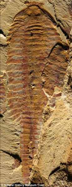 ͼ�����ӳ����ɺ����Ӳ����ǡ�