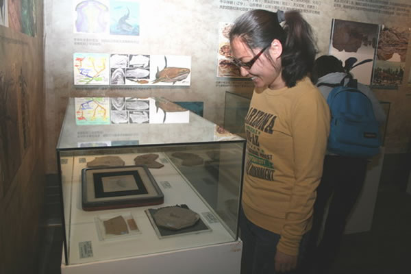 ���ػ�Զ�ŵ����������������ﻯʯ����������ʩ��������ع�չ�����й����ʲ���ݿ�Ļ