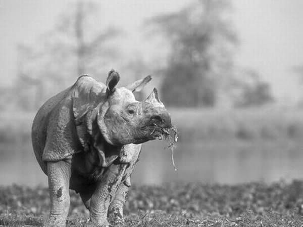 ���о���������������������ӡ�ȴδ�½������ϵ�����Ե��������