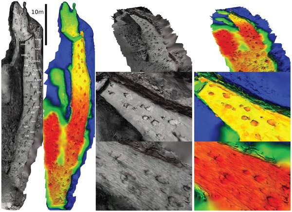 ��3Dģ���о������㼣