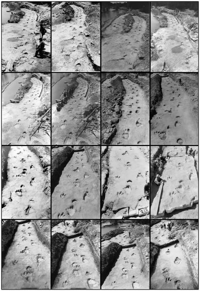 ��3Dģ���о������㼣