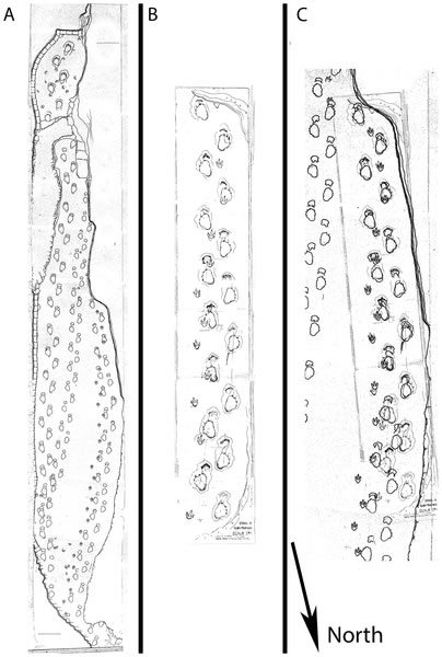 ��3Dģ���о������㼣