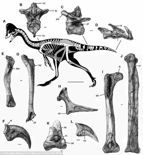 �о���Ա����3���ֻ�ʯƴ����һ�𣬷�����Щ�ֿ��Ĺ����պ��γ�һ�����������Ŀ����Ǽܡ�