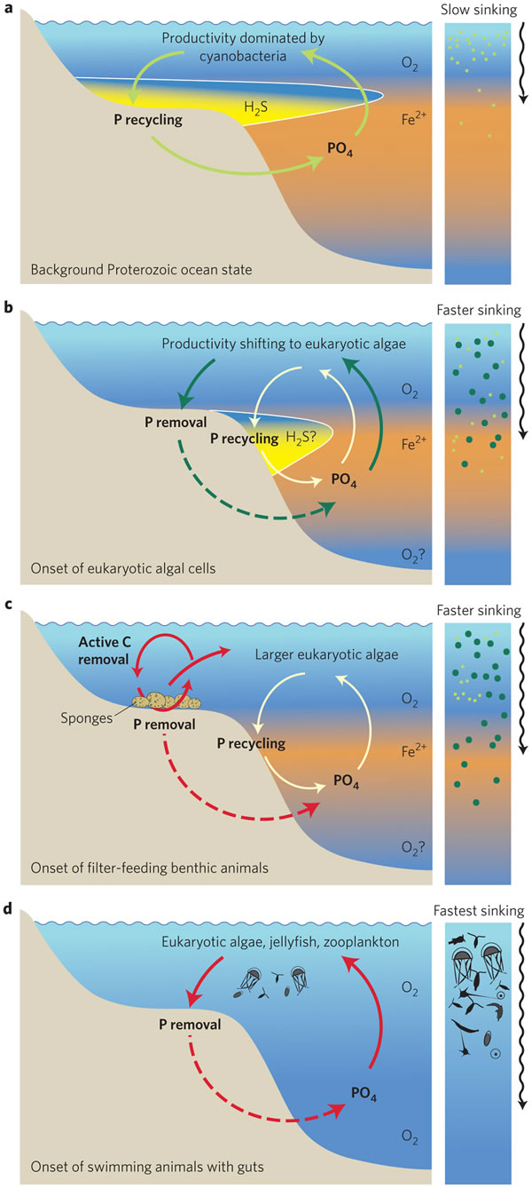 ��7.5��5����ǰ����Ľ�������������������