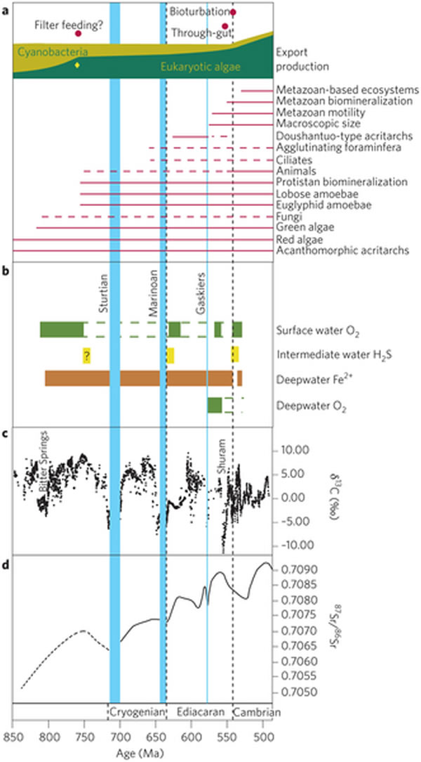 ��7.5��5����ǰ����Ľ�������������������