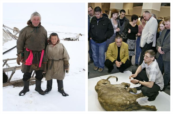 ѱ¹��������ϼ���11���Ķ������������𱴺Ӽ�ľ��ʱ���������š�������ű���������˹л��ŵ��˹��(Shemanovsky)����ݡ�