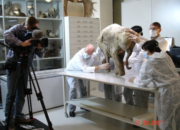 ��ѧ�����ţ����ŵ�����һ�����⡣��ʱ�������ںӱߺ�ˮ������ʧ��������࣬������������ʹ����ʬ�屻����¡�