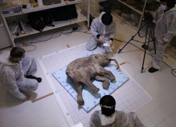 ��Ϥ�����ǻ��������𱴺ӷ�����ͷ�������ź���